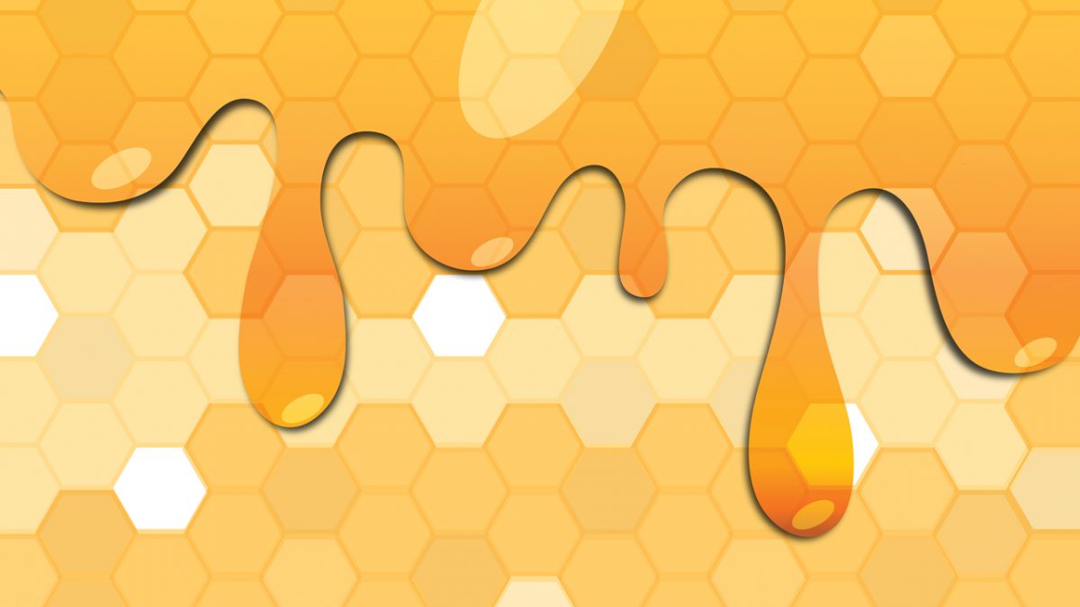 How to Build an SSH Honeypot with Splunk