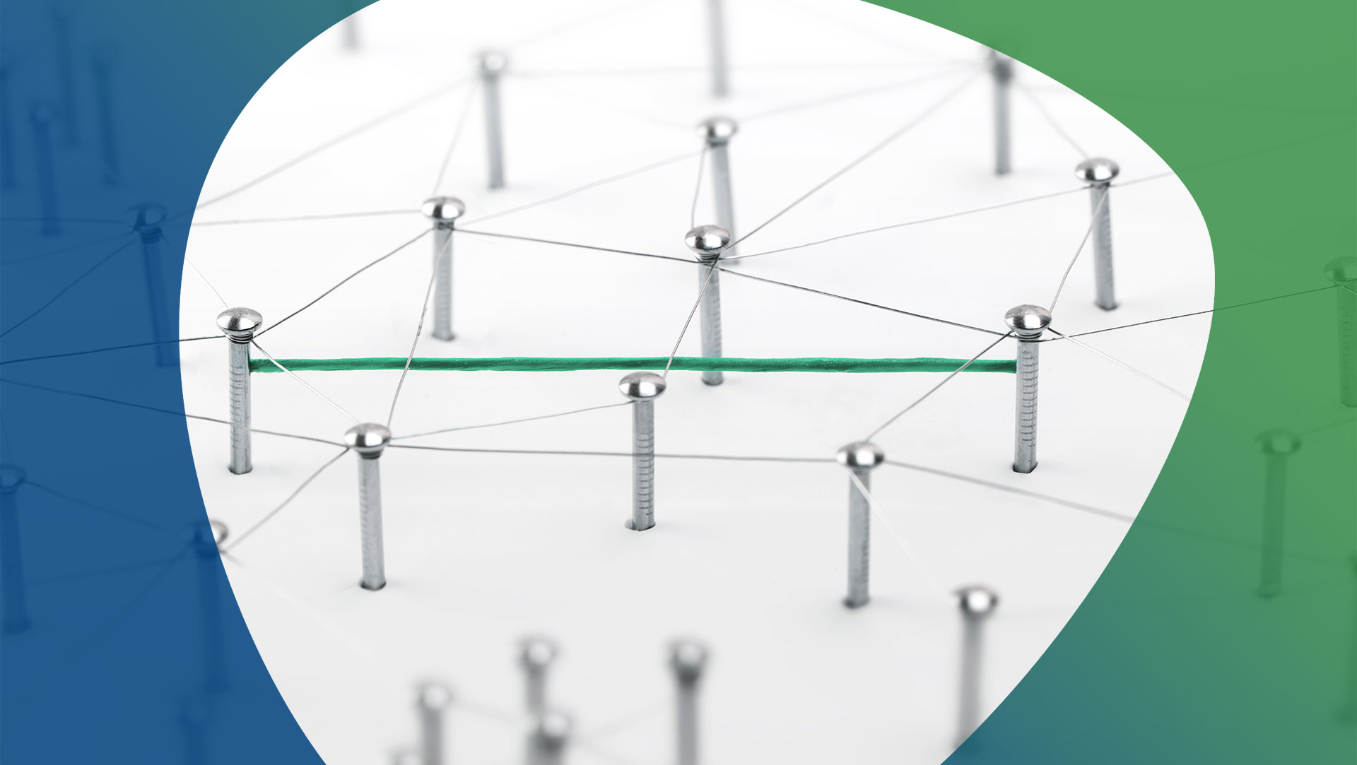 Navigating network security