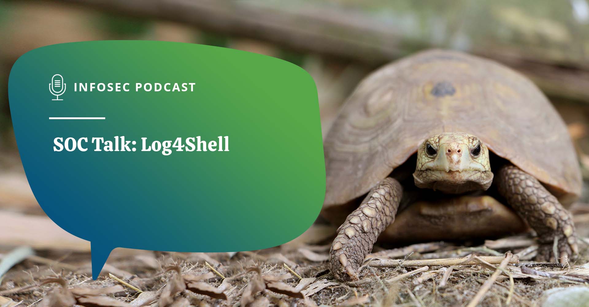 Log4Shell